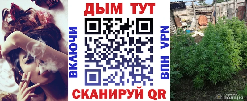 Канабис SATIVA & INDICA  Павлово 